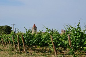 sant_pere_molanta_esglesia_2