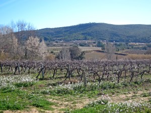 sant_pere_molanta_papiol