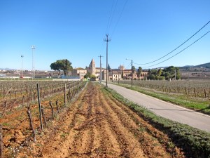 sant_pere_molanta_rectoria_5